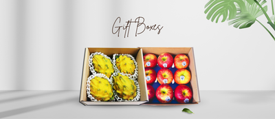 SLH Mandarin Orange [椪柑/芦柑/蕉柑] 8粒,12粒,15粒,18粒,20粒,40粒,46粒,48粒 – SLH ...