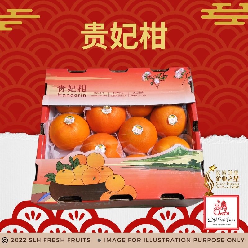 SLH Mandarin Orange [椪柑/芦柑/蕉柑] 8粒,12粒,15粒,18粒,20粒,40粒,46粒,48粒 – SLH ...