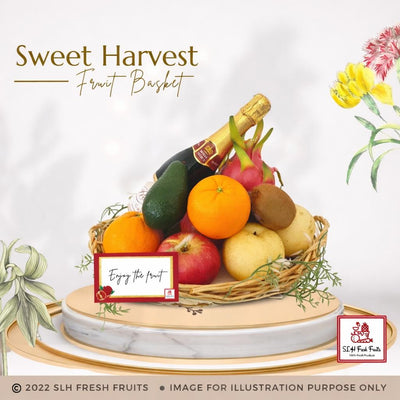 SLH Mandarin Orange [椪柑/芦柑/蕉柑] 8粒,12粒,15粒,18粒,20粒,40粒,46粒,48粒 – SLH ...