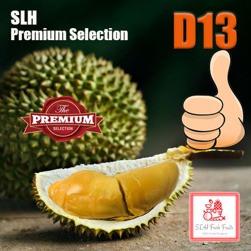 SLH D13 Fresh Durian