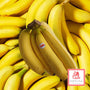 SLH Philippines Banana
      

      
        
         From
        

        $3.80