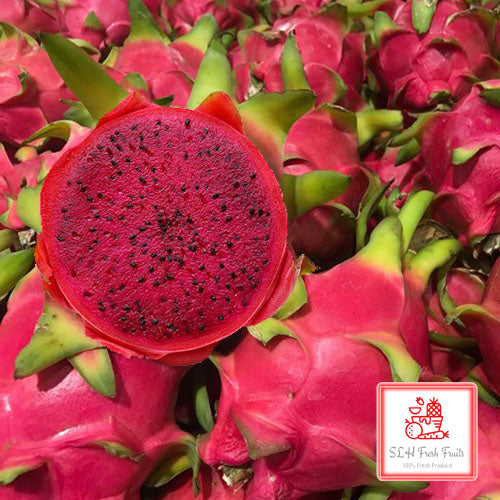 SLH Dragon Fruit (Red)