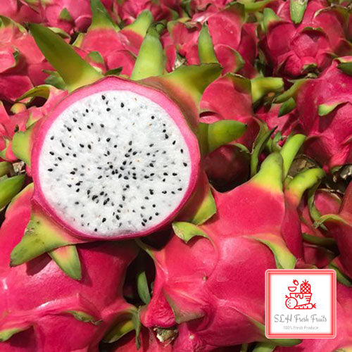 SLH Dragon Fruit (White)