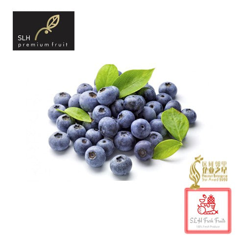 SLH Blueberries 蓝莓 - Premium Selection