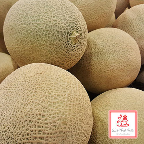 Sol Set Rockmelon SLH - Rock Melon – SLH FRESH FRUITS