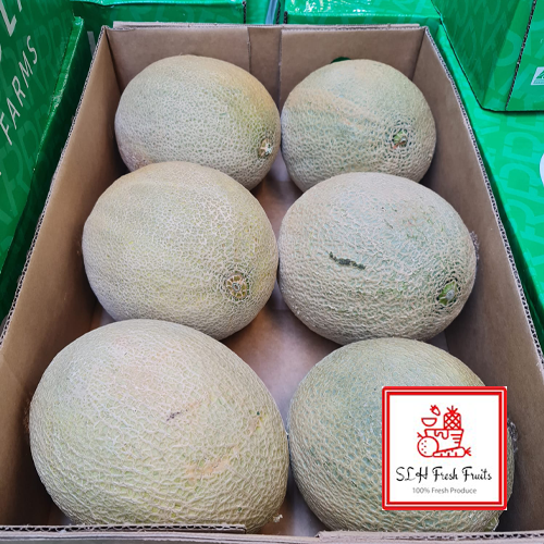 Sol Set Rockmelon SLH - Rock Melon – SLH FRESH FRUITS