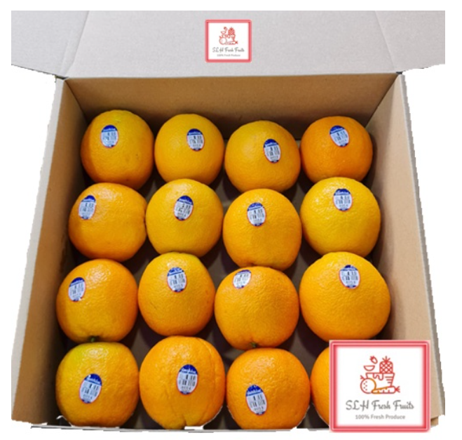 SLH Sunkist Small Orange Gift Box (Box of 16pcs)