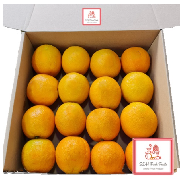SLH Australia Small Orange Gift Box (Box of 16pcs) 