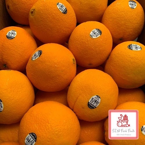 SLH Sunkist Orange (Small)-3107/3108/4014